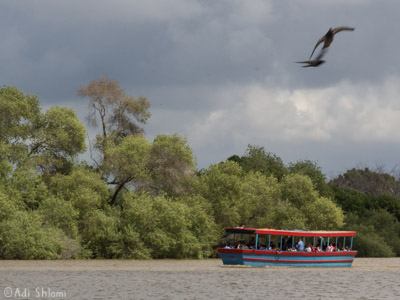 פארק הירקון ושבע טחנות