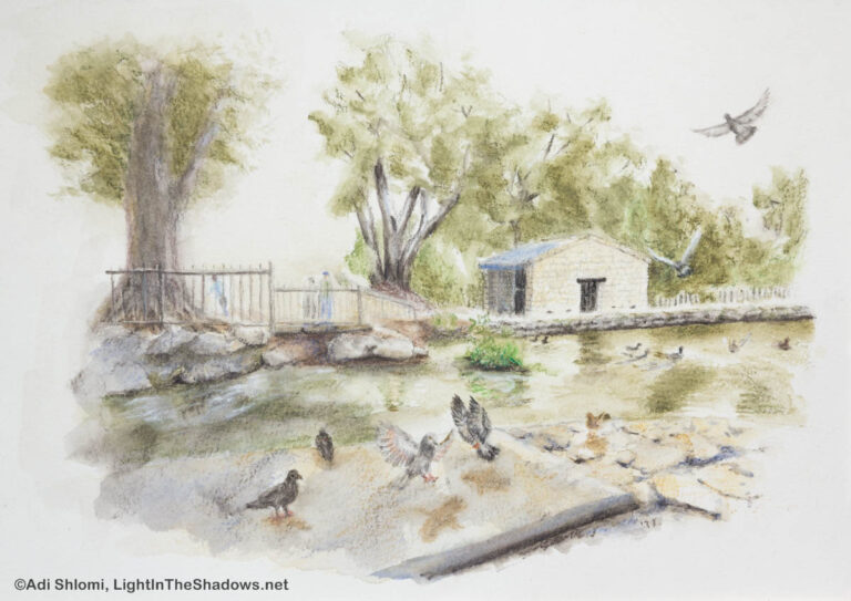 אקוורל – פארק הירקון