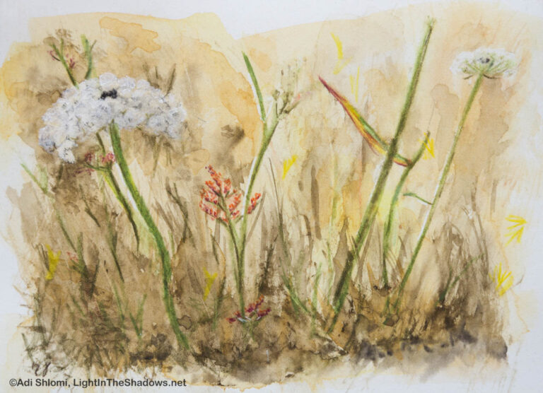 ציורי אקוורל תל-אביבים